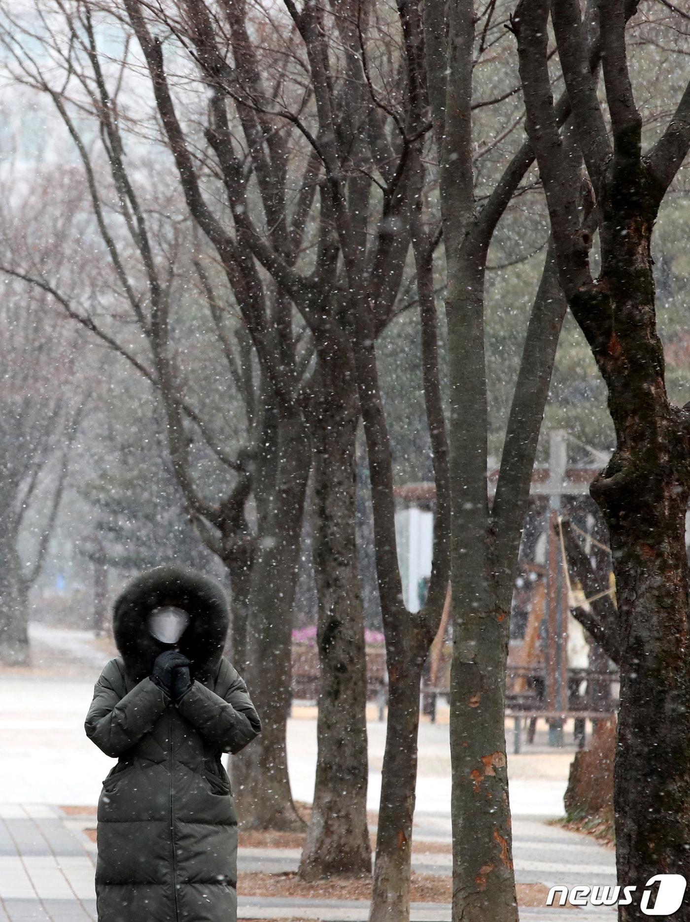 본문 이미지 - 31일 대전·충남은 새벽 사이 서해안을 중심으로 약한 눈이 내릴 것으로 예보됐다. 대전 서구 보라매공원 일대에서 시민이 눈을 맞으며 이동하고 있다. /뉴스1 ⓒ News1 김기태 기자