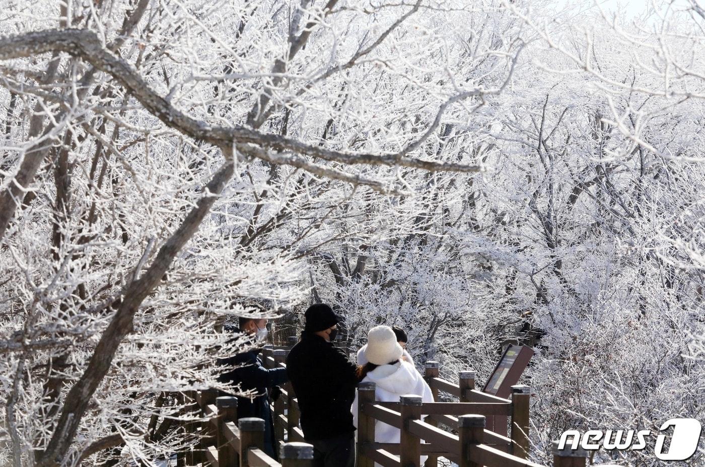 자료사진/뉴스1 ⓒ News1 오현지 기자