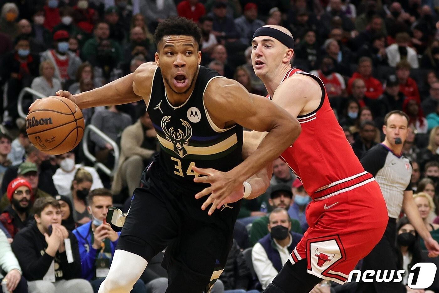 시카고 불스의 알렉스 카루소. ⓒ AFP=뉴스1 