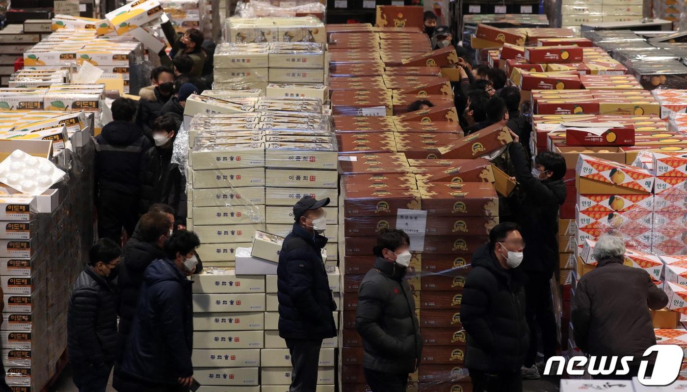 본문 이미지 - 서울 송파구 가락농수산물 도매시장에서 상인들이 과일을 경매하고 있다. ⓒ News1 김명섭 기자