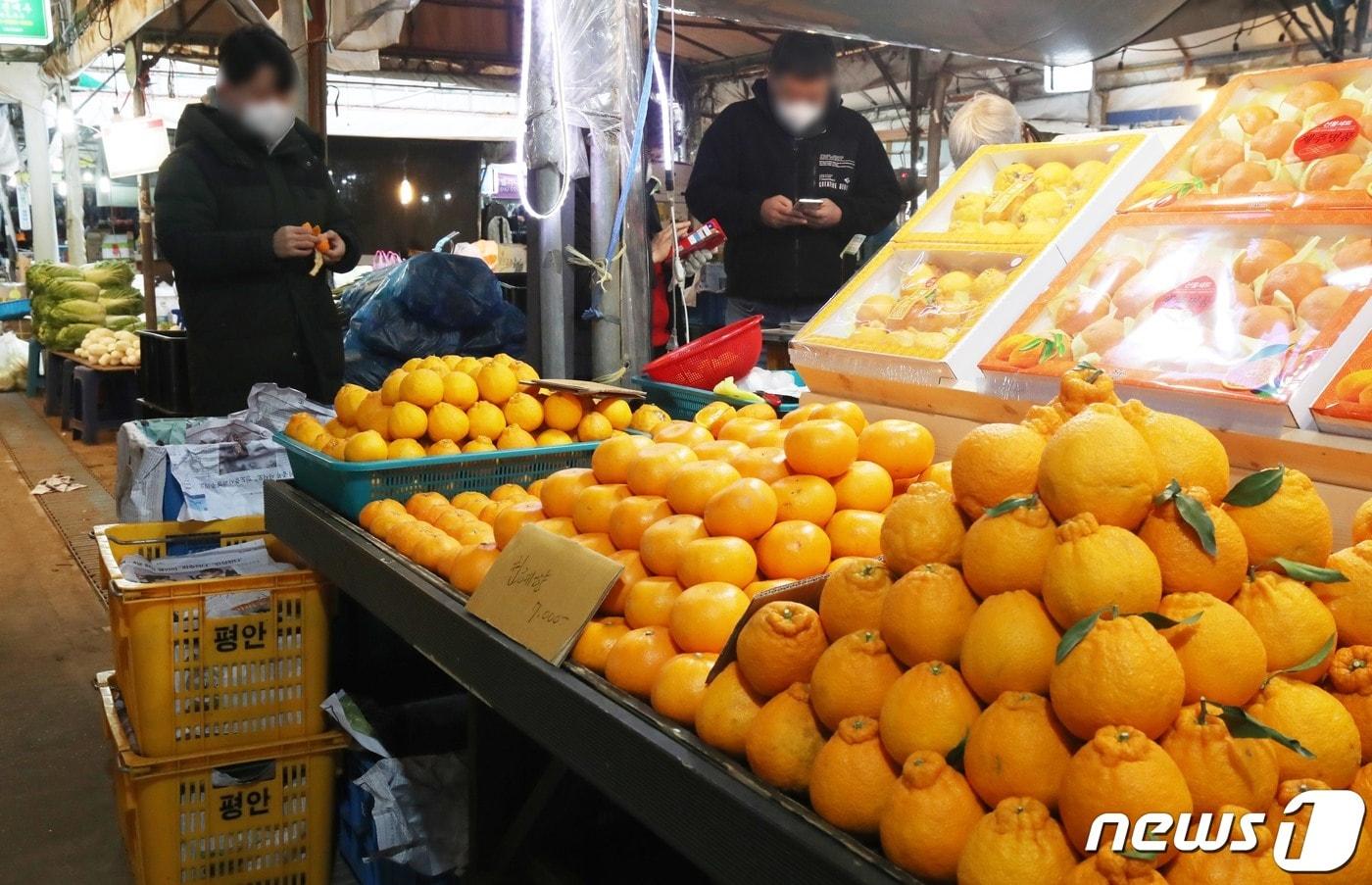 설 연휴를 앞둔 27일 오후 제주시 민속오일시장에서 도민과 관광객들이 장을 보고 있다. 2022.1.27/뉴스1 ⓒ News1 오현지 기자