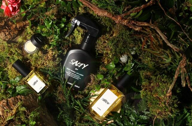 본문 이미지 - 러쉬코리아는 우디계열 향수 1종과 보디 스프레이 1종을 출시한다고 밝혔다.(러쉬코리아 제공)ⓒ 뉴스1