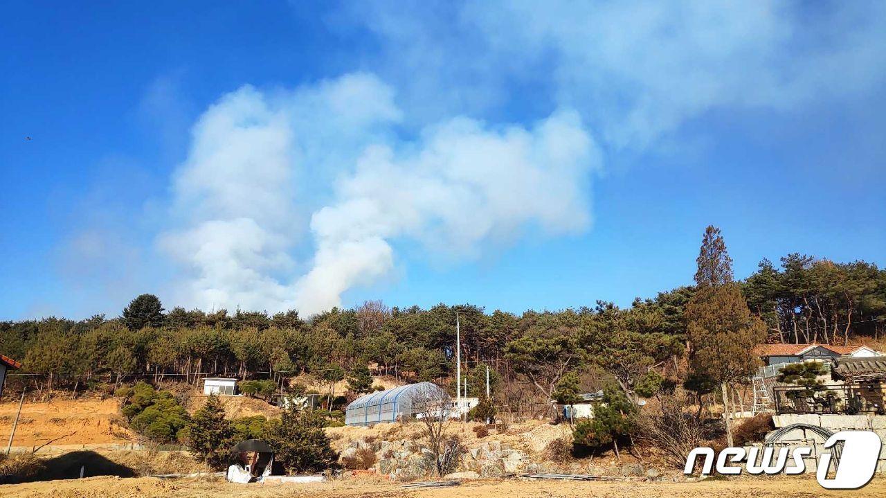 본문 이미지 - 4일 오전 10시15분쯤 강원 춘천시 동면 장학리에서 발생한 산불이 산림 0.2㏊를 태우고 50여분 만인 오전 11시8분쯤 진화됐다.(산림청 제공) 2022.1.4/뉴스1
