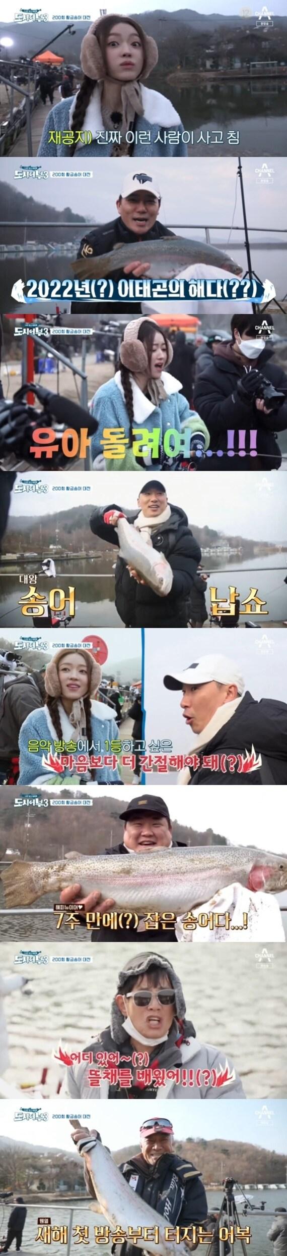본문 이미지 - 채널A '도시어부3' ⓒ 뉴스1