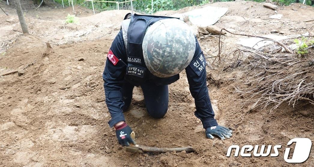 본문 이미지 - 강원도 철원 비무장지대&#40;DMZ&#41; 내 백마고지 일대에서 진행된 유해 발굴 현장.&#40;국방부 제공&#41; 2022.1.7/뉴스1