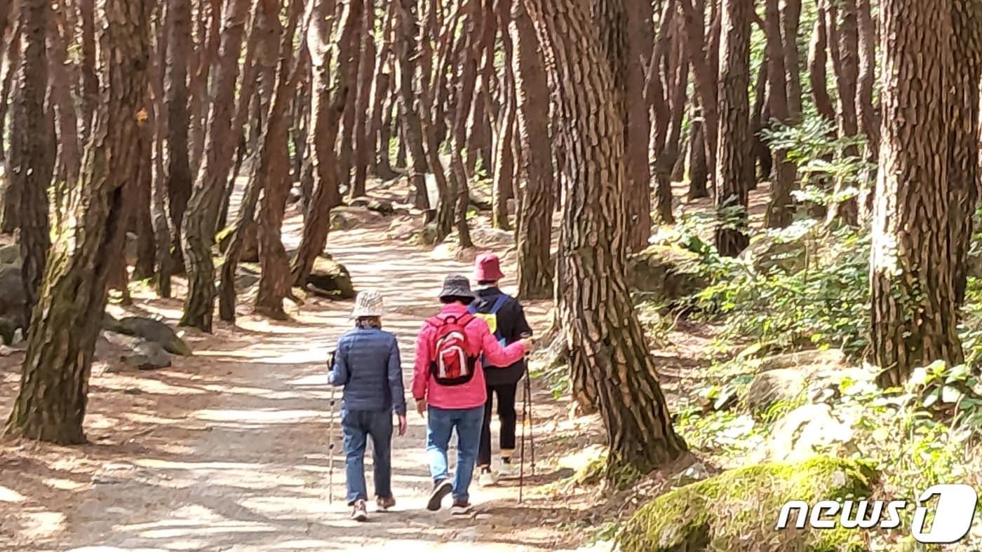 10일 낮 12시쯤 등산객들이 대구 동구 도학동 북지장사 소나무숲길에서 등산을 하고 있다. 2022.10.10/뉴스1 ⓒ News1 이성덕 기자