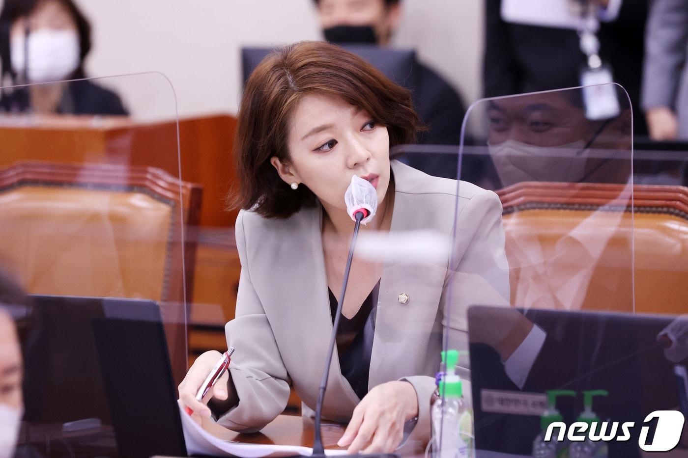 배현진 국민의힘 의원이 11일 오후 서울 여의도 국회에서 열린 문화체육관광위원회의 문화재청 등에 대한 국정감사에서 허성곤 전 김해시장에게 김해 구산동 지석묘 세척 등과 관련된 질의를 하고 있다. 2022.10.11/뉴스1 ⓒ News1 조태형 기자