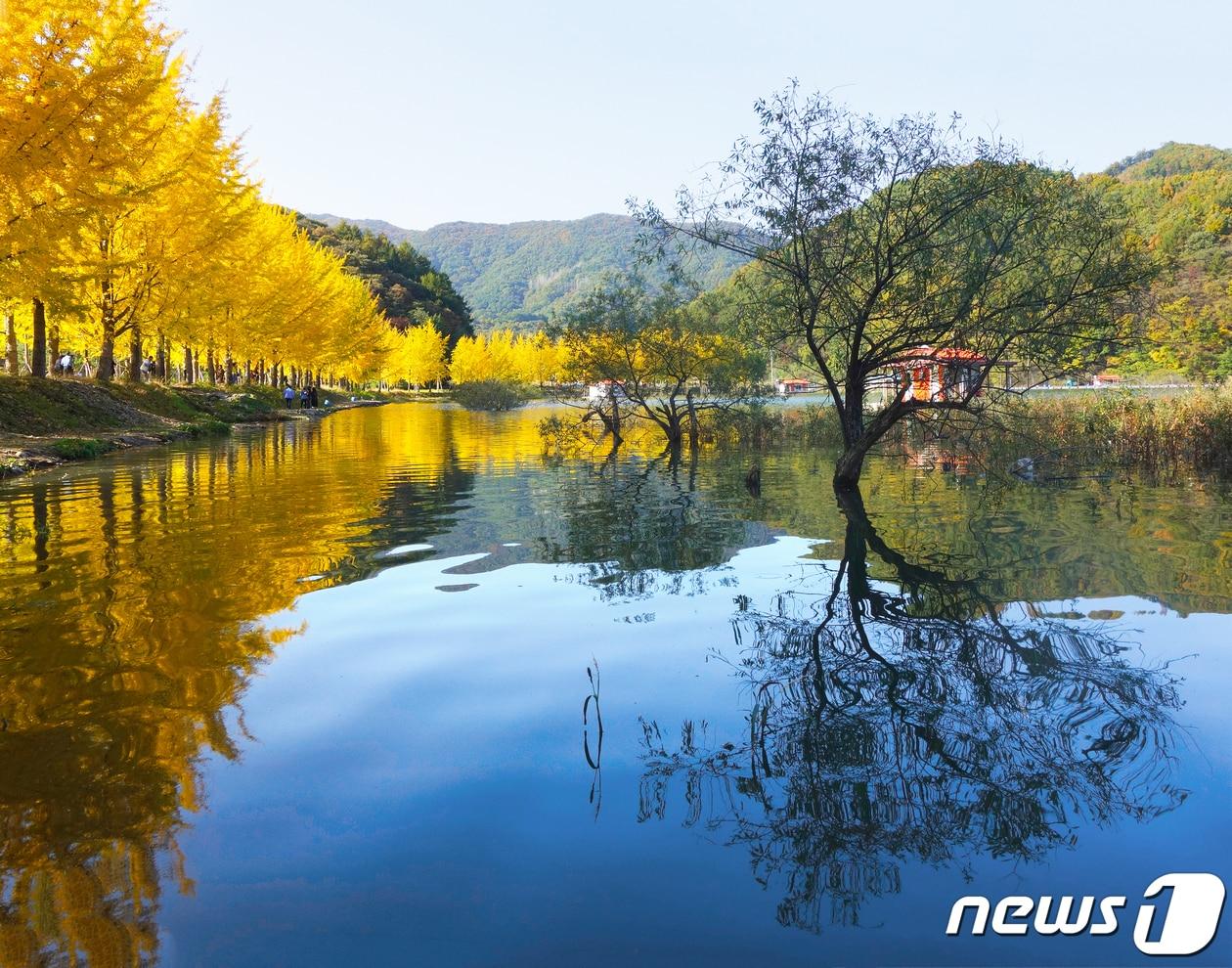 본문 이미지 - 충북 괴산 문광저수지.(괴산군 제공) / 뉴스1