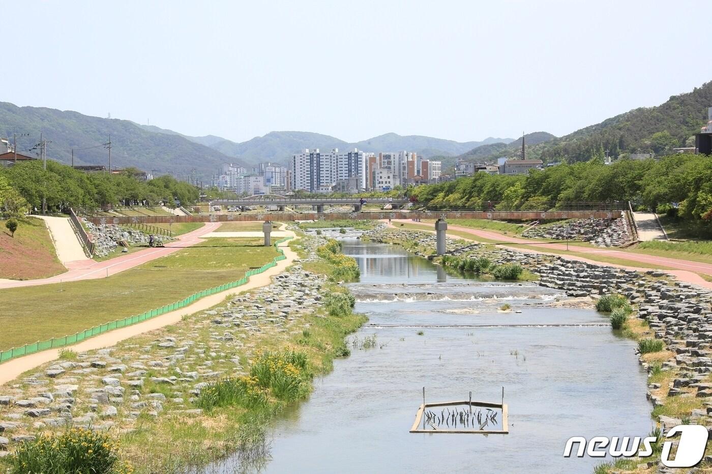 본문 이미지 - 전북 정읍시가 주민 친화형 친수공간과 정읍 관광 명소 조성을 위한 ‘지역맞춤형 통합하천 사업’추진에 박차를 가하고 있다. 정읍시 중심을 가로 흐르는 정읍천(정읍시 제공)2022.10.13/뉴스1