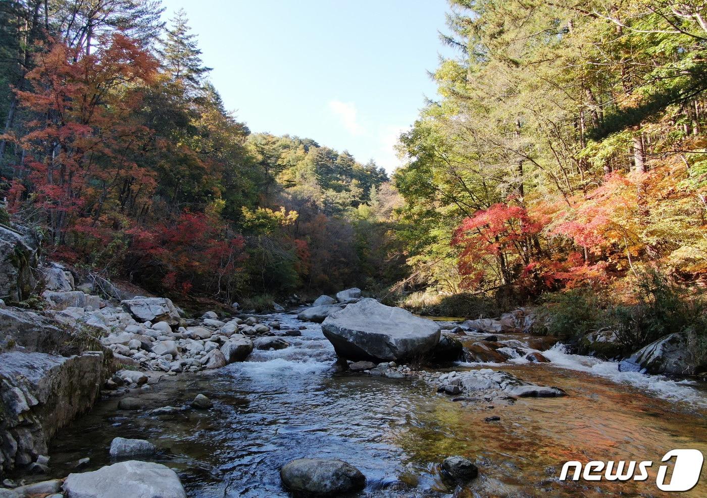 본문 이미지 - 16일 충북·세종은 일교차가 10도 내외로, 차차 건조해지는 가을 날씨를 보이겠다.(사진은 기사 내용과 무관함) / 뉴스1 ⓒ News1