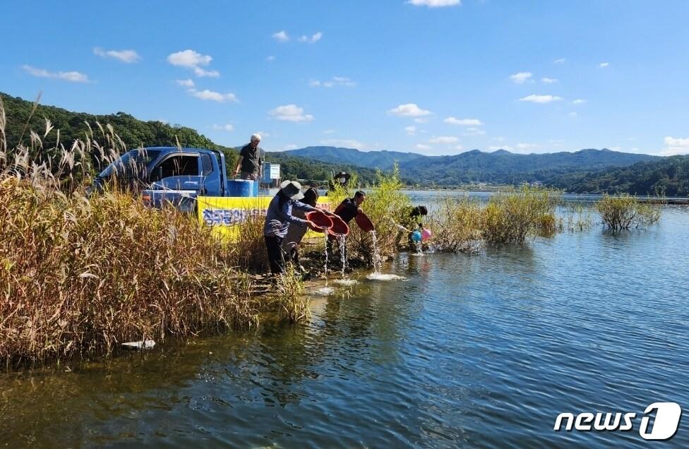 본문 이미지 - 충북 청주시 관계자들이 13일 대청호에 동자개 치어 4만9000여마리를 방류하고 있다.(청주시 제공).2022.10.13/뉴스1