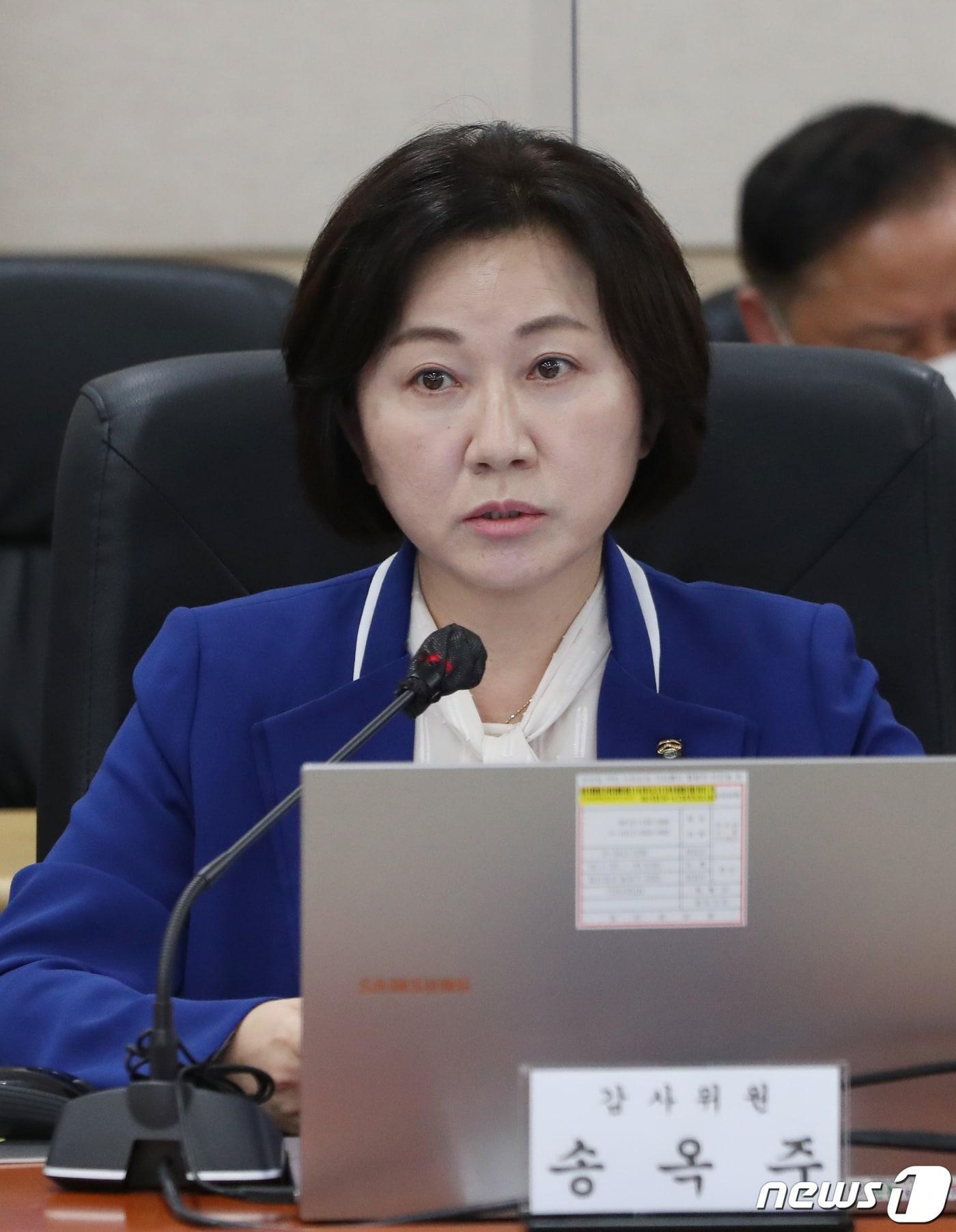 본문 이미지 - 송옥주 더불어민주당 국회의원 자료사진.  /뉴스1