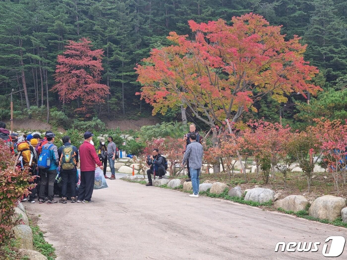 본문 이미지 - 가을 단풍 절정이 시작된 16일 강원 강릉 연곡면 오대산국립공원 소금강계곡 입구에 등산객들이 단풍이 물든 나무 앞에서 기념사진을 촬영하고 있다. 2022.10.16/뉴스1 ⓒ News1 윤왕근 기자