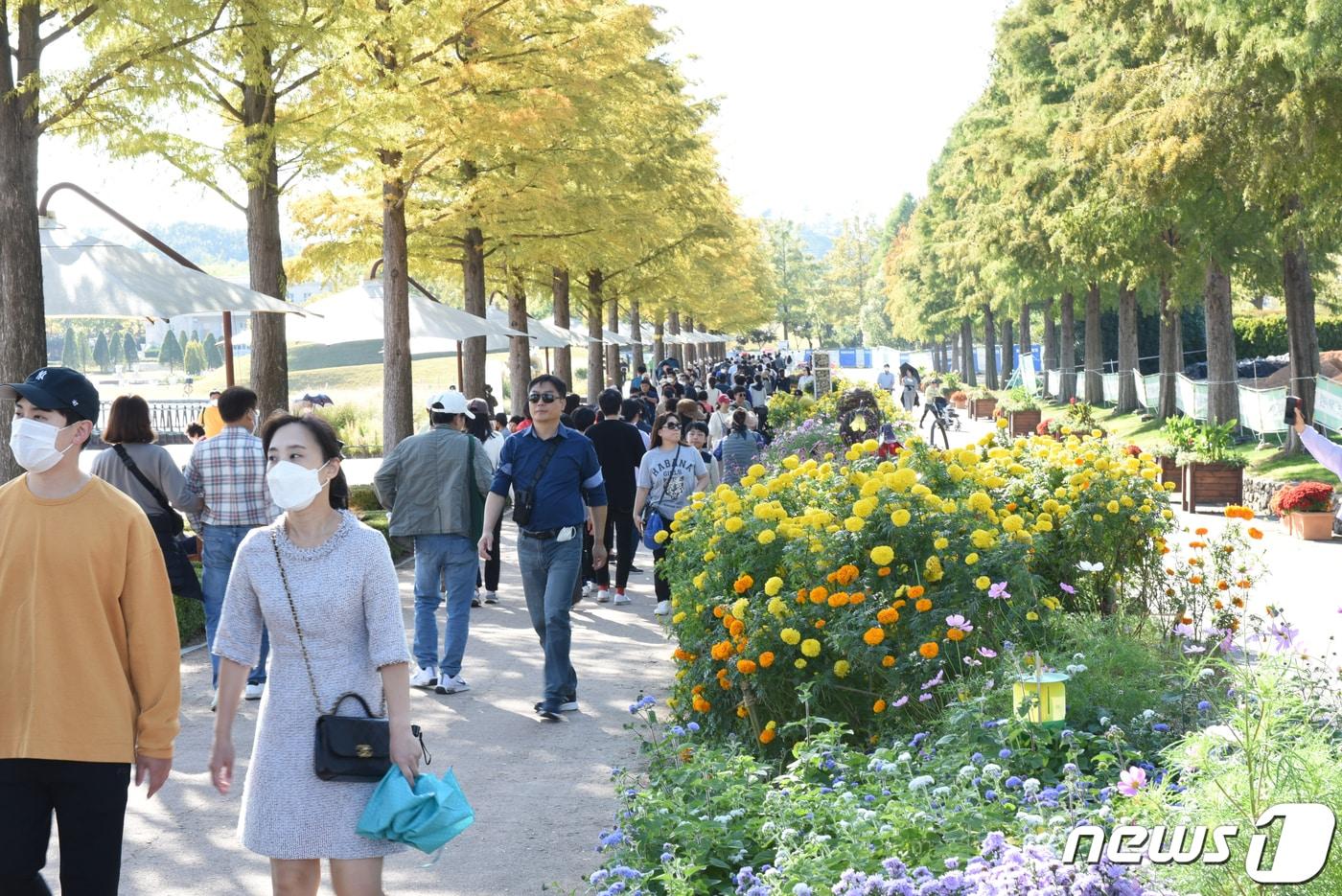 본문 이미지 - 16일 대한민국 제1호 국가정원 순천만국가정원을 찾은 관광객들이 가을정취를 만끽하고 있다. 2022.10.16/뉴스1 ⓒ News1 김동수 기자