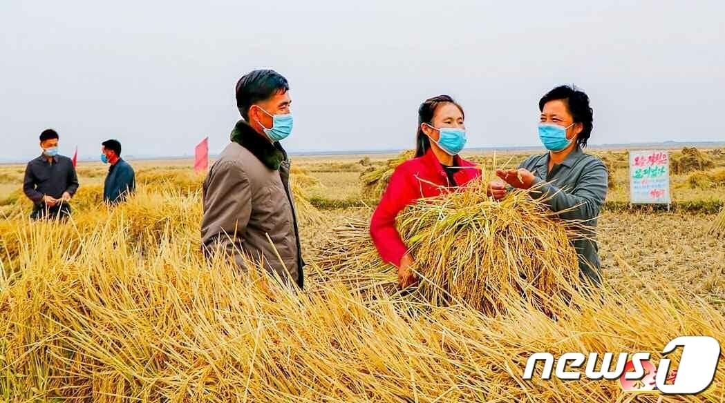 본문 이미지 - (평양 노동신문=뉴스1) = 북한 노동당 기관지 노동신문은 17일 농업부문 일꾼들과 근로자들이 가을걷이와 낟알털기에 박차를 가하고 있는 모습을 조명했다. [국내에서만 사용가능. 재배포 금지. DB 금지. For Use Only in the Republic of Korea. Redistribution Prohibited] rodongphoto@news1.kr