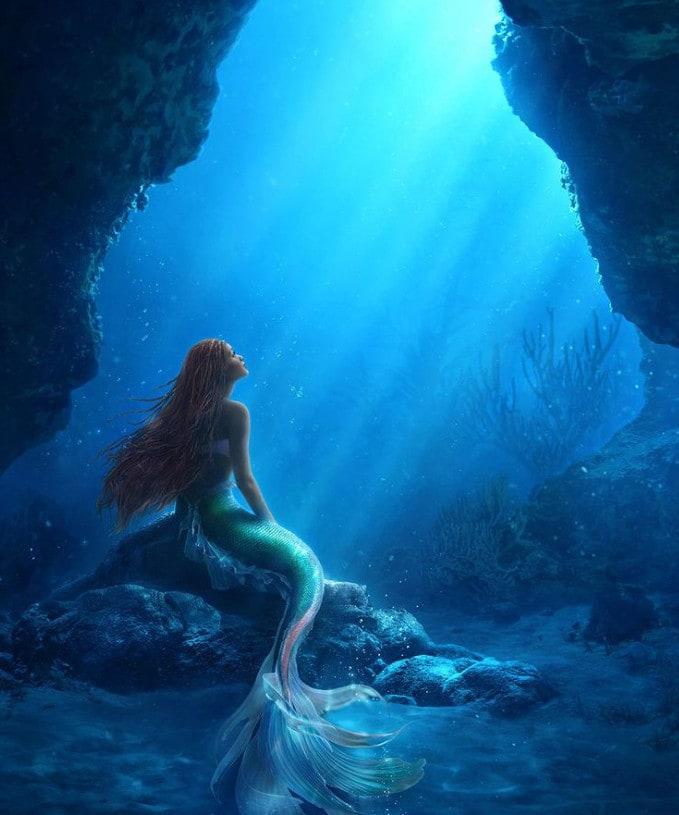 본문 이미지 - 핼리 베일리 SNS 캡처