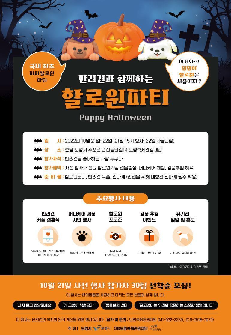 본문 이미지 - ‘반려견 할로윈 파티’ 포스터.(보령시 제공) 