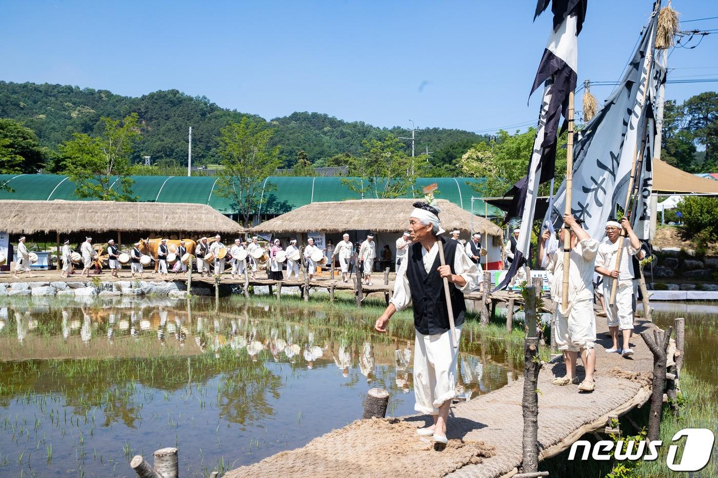 본문 이미지 - 충북 증평군의 농경축제 '증평들노래축제'의 2019년 행사 당시 모습.(증평군 제공).2022.10.18/뉴스1
