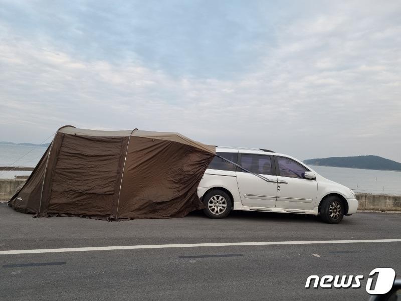 본문 이미지 - ('보배드림' 갈무리)