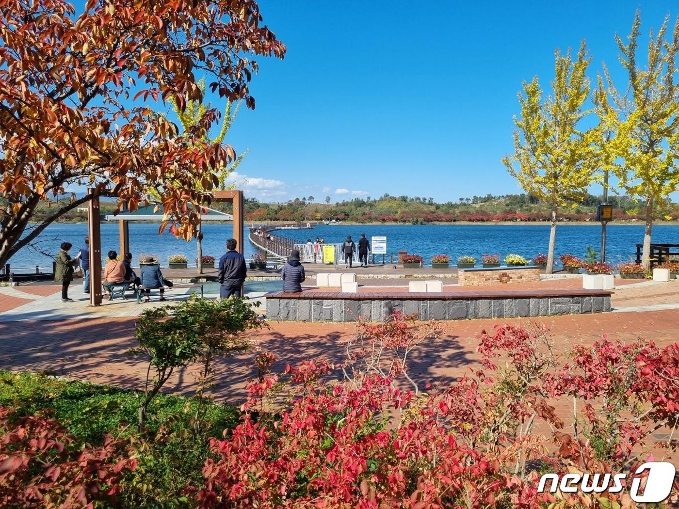 본문 이미지 - 영랑호 일대 전경.&#40;뉴스1 DB&#41; ⓒ News1 윤왕근 기자