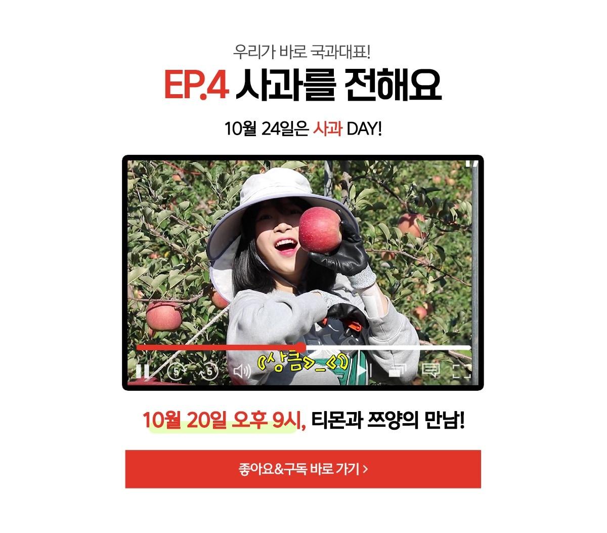 본문 이미지 - 티몬 우리가 국가대표 사과편(티몬 제공).