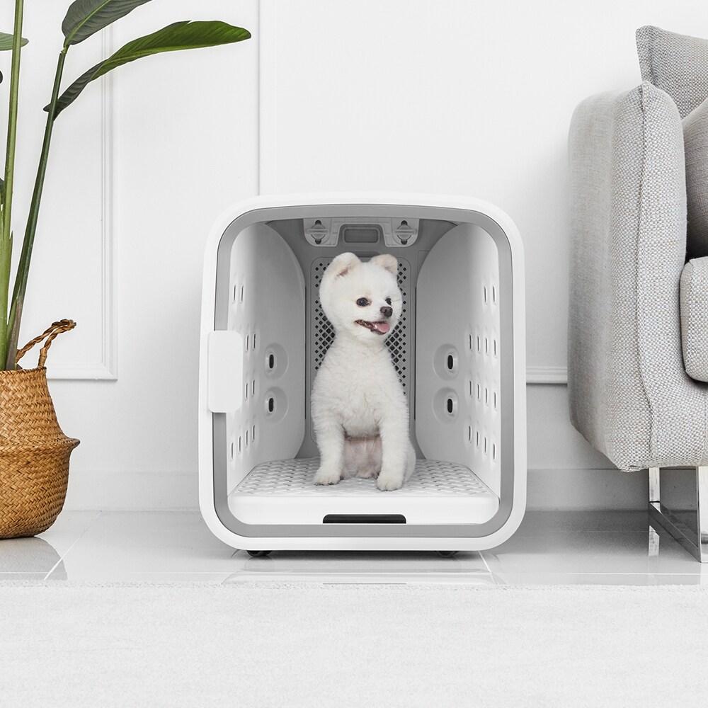 본문 이미지 - 쿠쿠전자 넬로 '펫 에어샤워&드라이룸'(쿠쿠 제공)