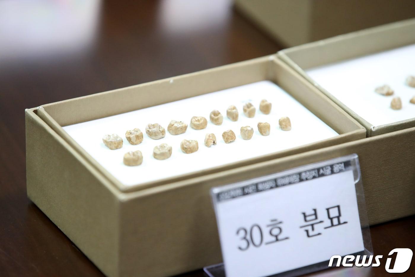본문 이미지 - 20일 오전 서울 중구 진실·화해를위한과거사정리위원회에서 열린 '선감학원 아동 인권침해사건 진실규명 결정 발표 기자회견'에 희생자로 추정되는 분묘에서 나온 치아 및 단추 들이 탁자 위에 놓여있다. 진실·화해를위한과거사정리위원회는 이날 기자회견을 통해 선감학원 사망자가 최소 140~150명에 이르며, 아동 사망자도  2022.10.20/뉴스1 ⓒ News1 이승배 기자