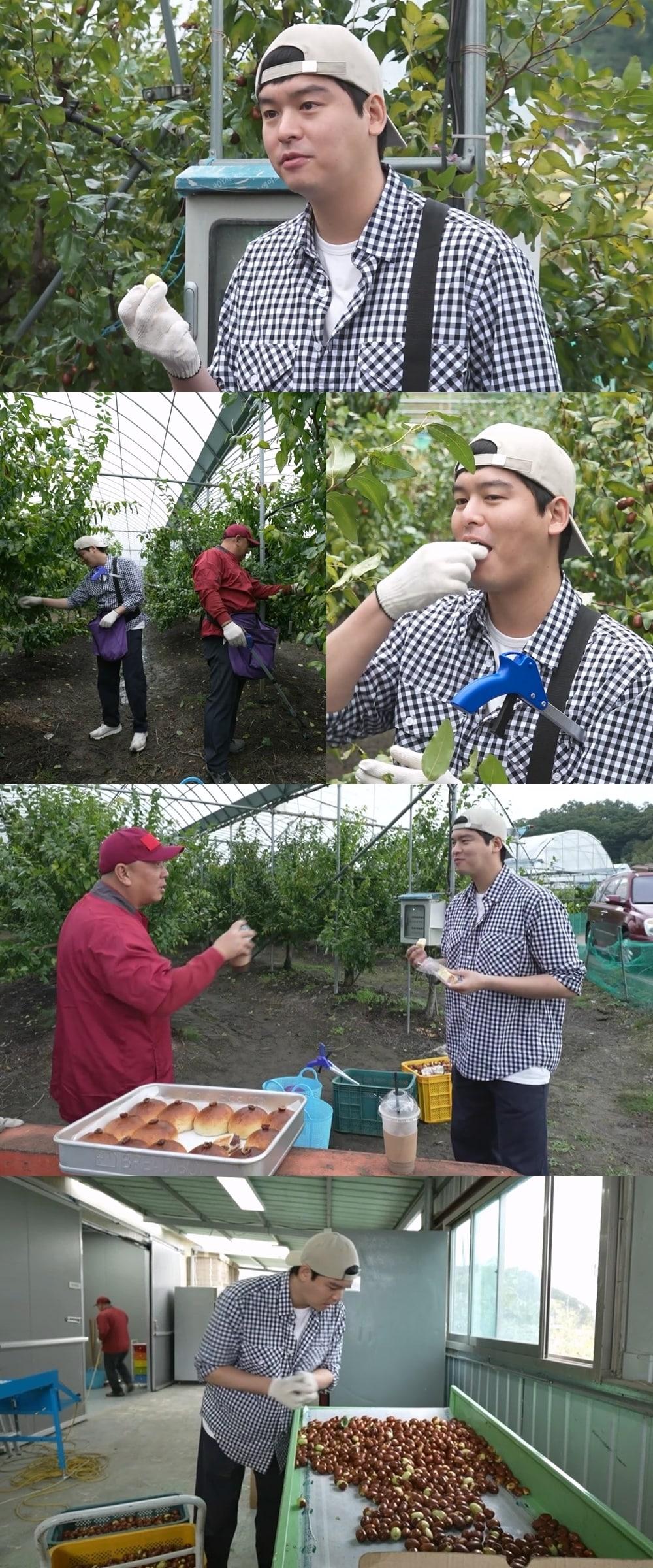 본문 이미지 - MBC