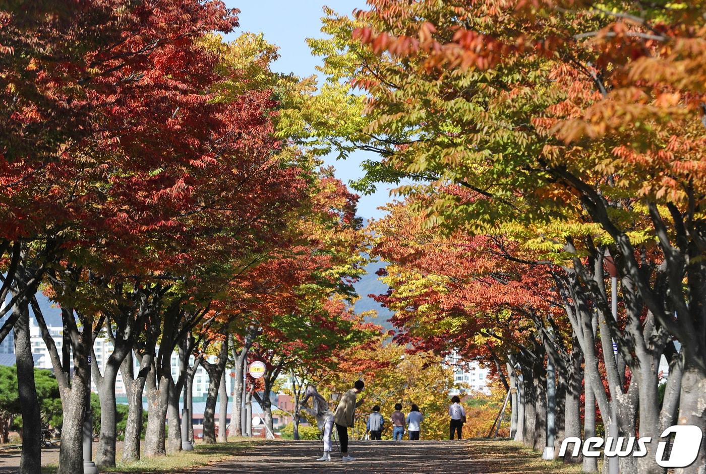 완연한 가을 날씨를 보인 20일 오후 울산 남구 문수체육공원을 찾은 시민들이 울긋불긋 물들어가는 단풍을 보며 가을 분위기를 즐기고 있다. 2022.10.20/뉴스1 ⓒ News1 윤일지 기자