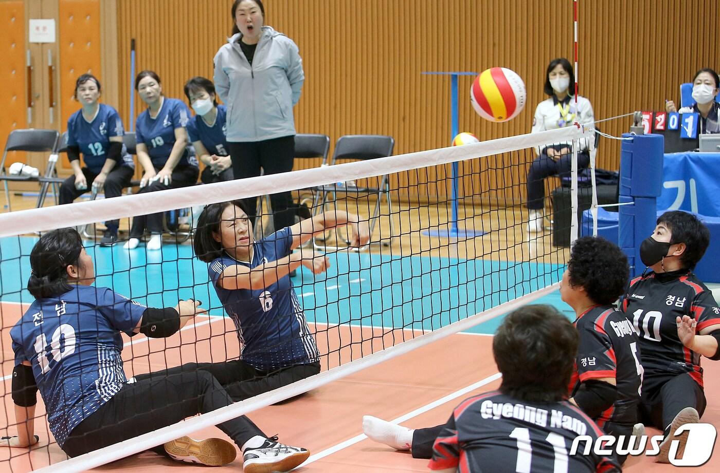 좌식배구./뉴스1