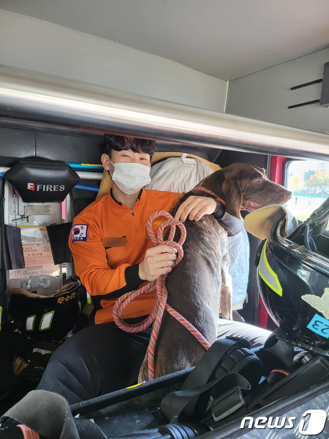 본문 이미지 - 지난 24일 낮 12시50분쯤 전남 광양의 한 중학교에서 들개 1마리가 출몰, 출동한 소방대원들에 의해 포획되어 있다. (광양소방서 제공) 2022.10.25/뉴스1