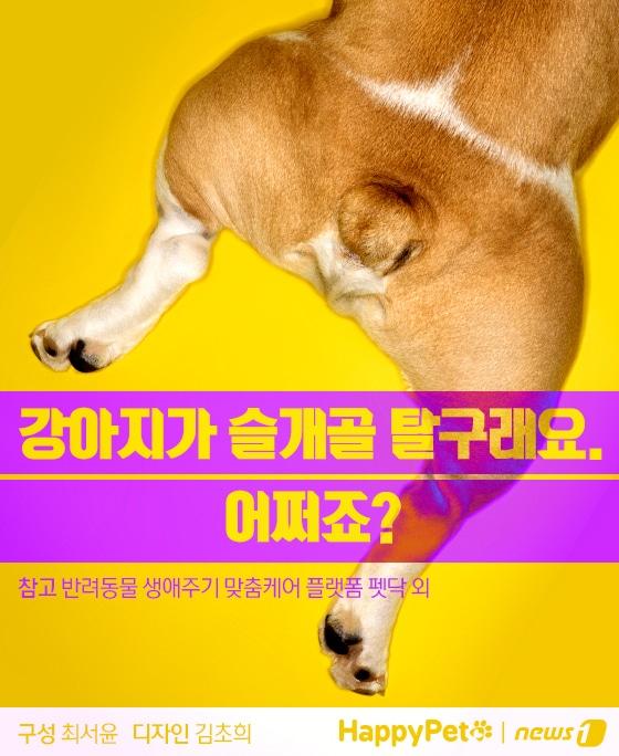 본문 이미지 - 슬개골 탈구 펫카드