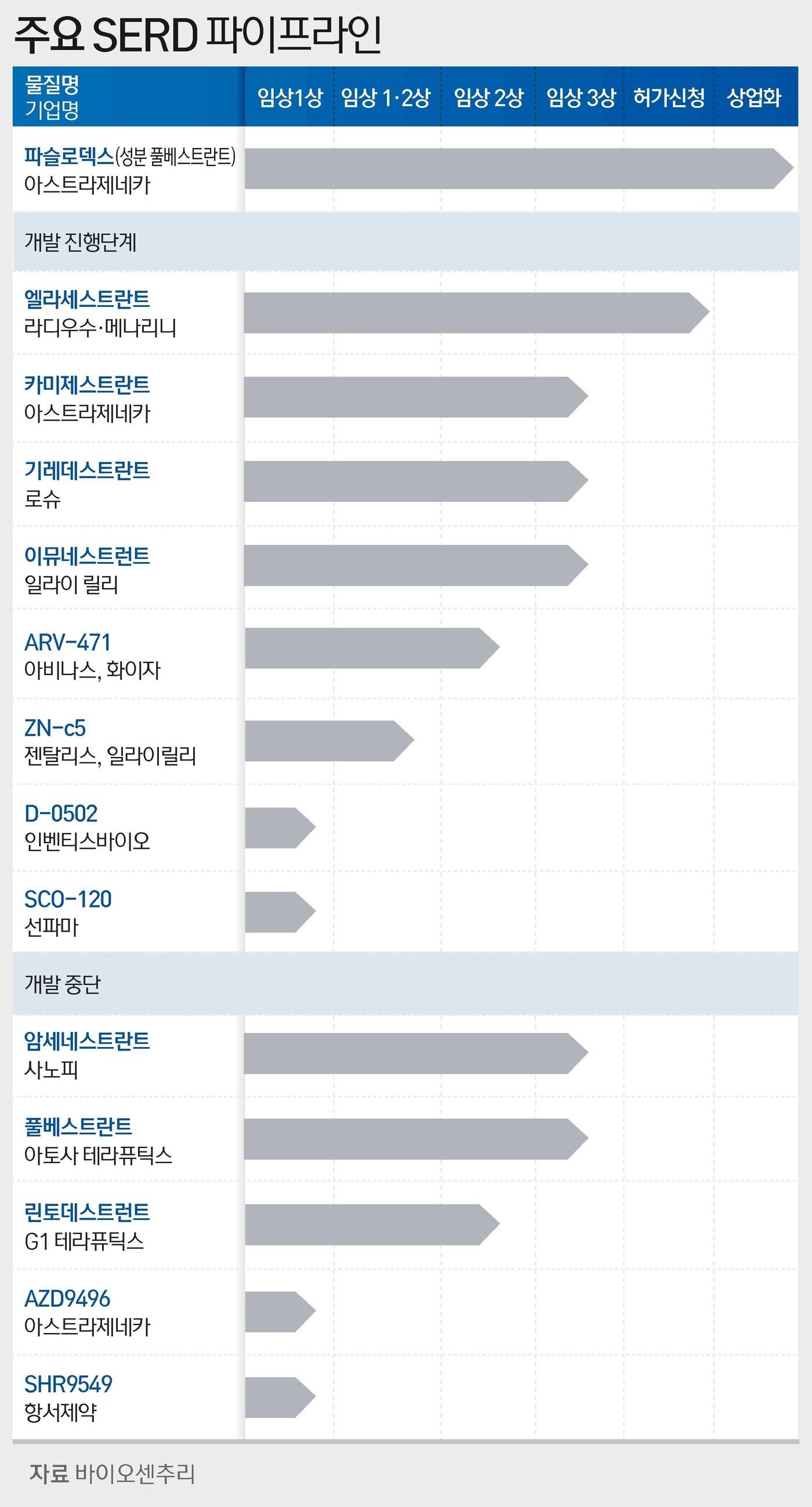 본문 이미지 - ⓒ News1 윤주희 디자이너