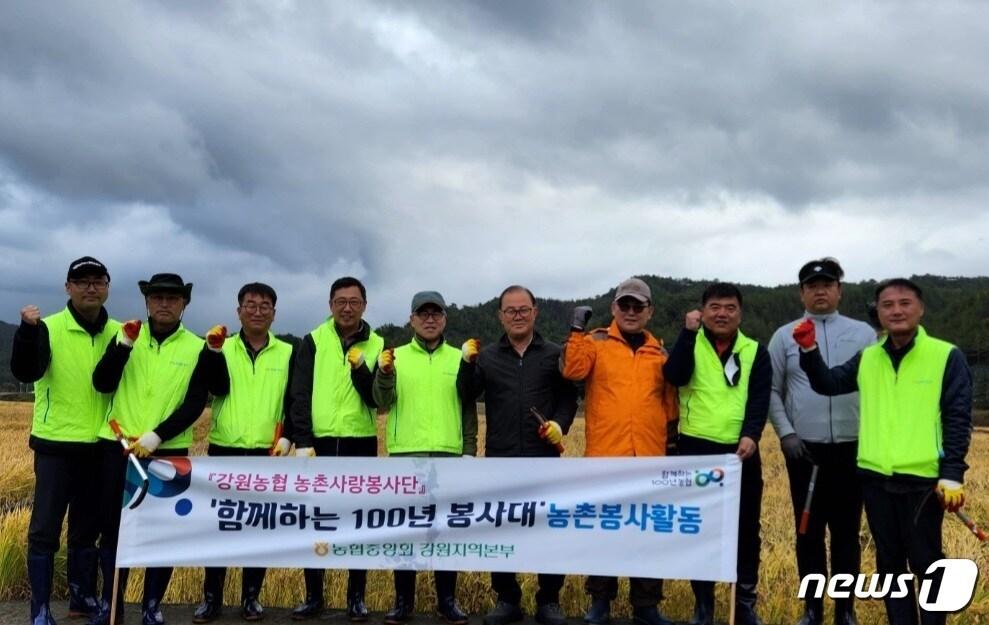 본문 이미지 - 농촌일손돕기.(농협 강원지역본부 제공) 2022.10.29/뉴스1