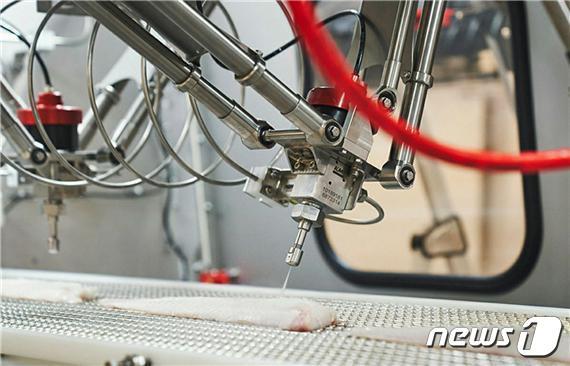본문 이미지 - 수산물 가공 자동화 로봇 시스템(출처: mbl.is 누리집 갈무리) 