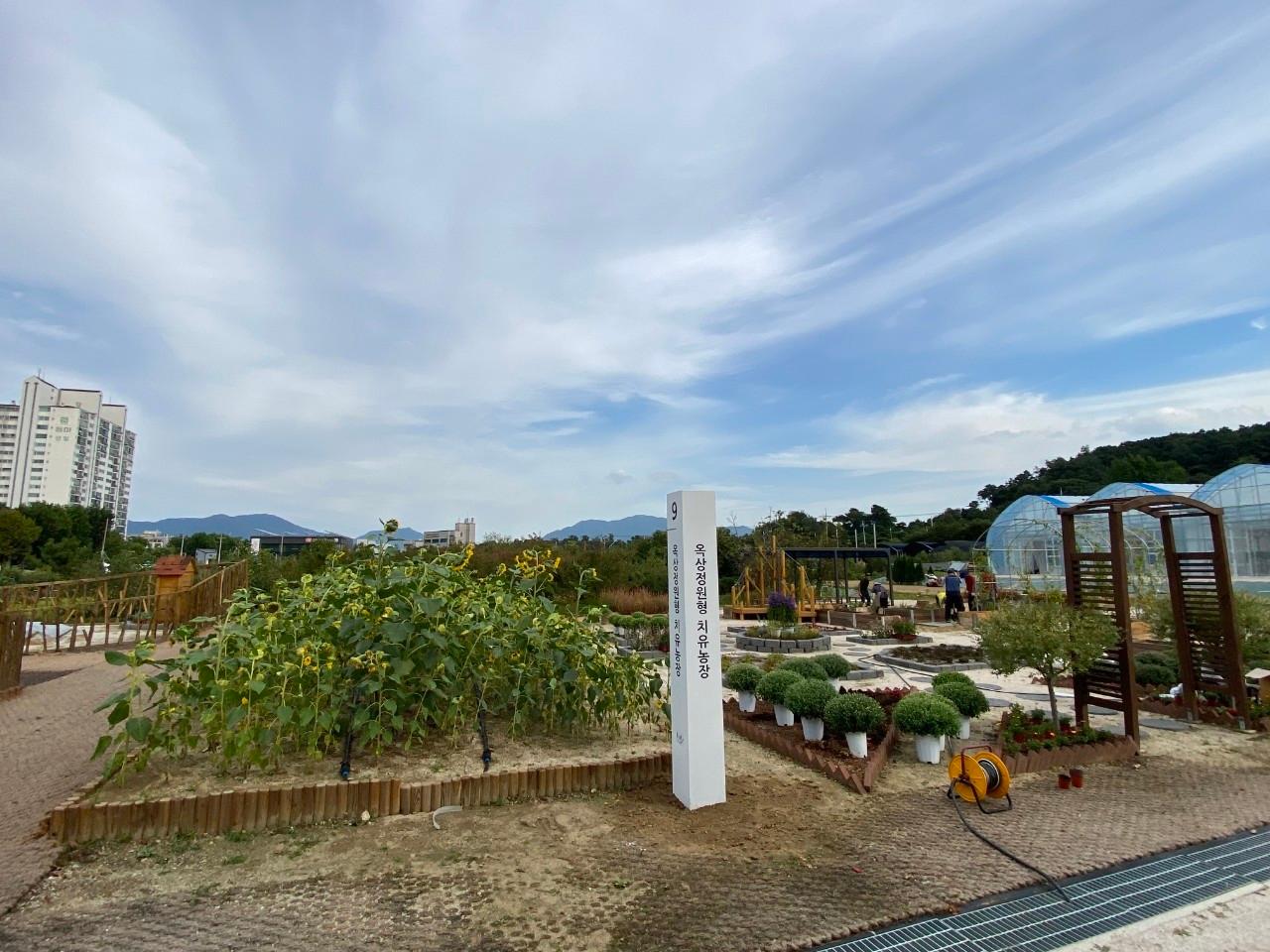 본문 이미지 - 옥상정원형 치유농장(서울시 제공).