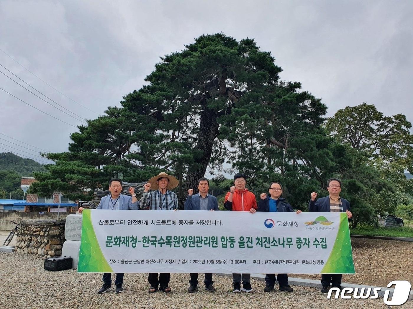 본문 이미지 - 국립백두대간수목원은 문화재청과 처진소나무 종자 영구저장 및 보존행사를 가졌다.