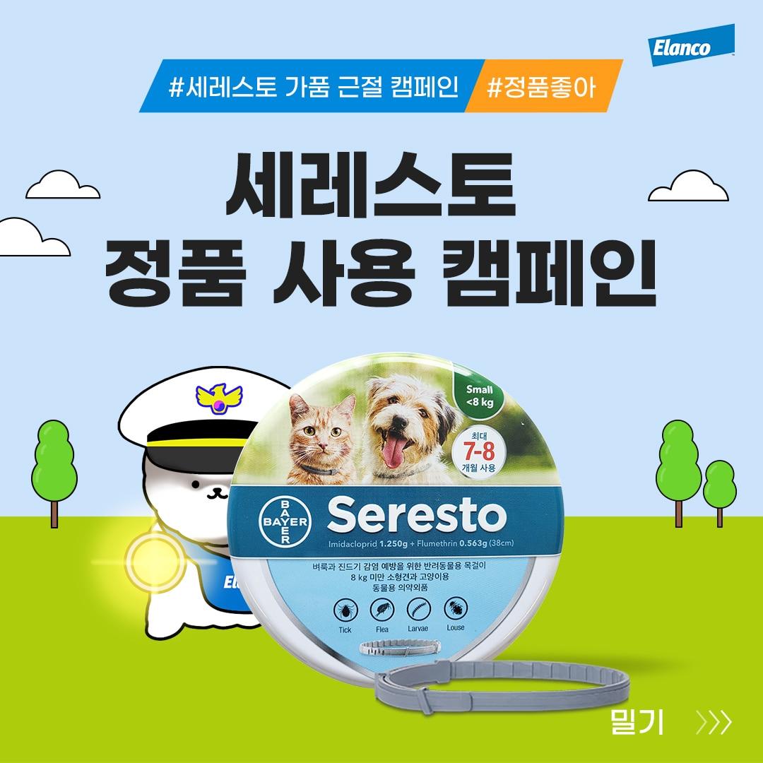 본문 이미지 - 강아지 진드기 목걸이 세레스토(엘랑코 제공)