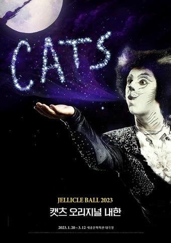 본문 이미지 - 뮤지컬 '캣츠' 오리지널 내한 공연 포스터. (에스앤코 제공) 