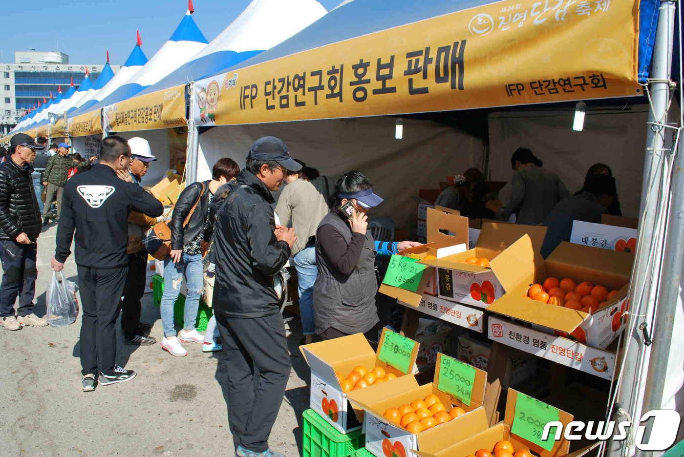 본문 이미지 - 진영단감축제 현장. (김해시 제공)