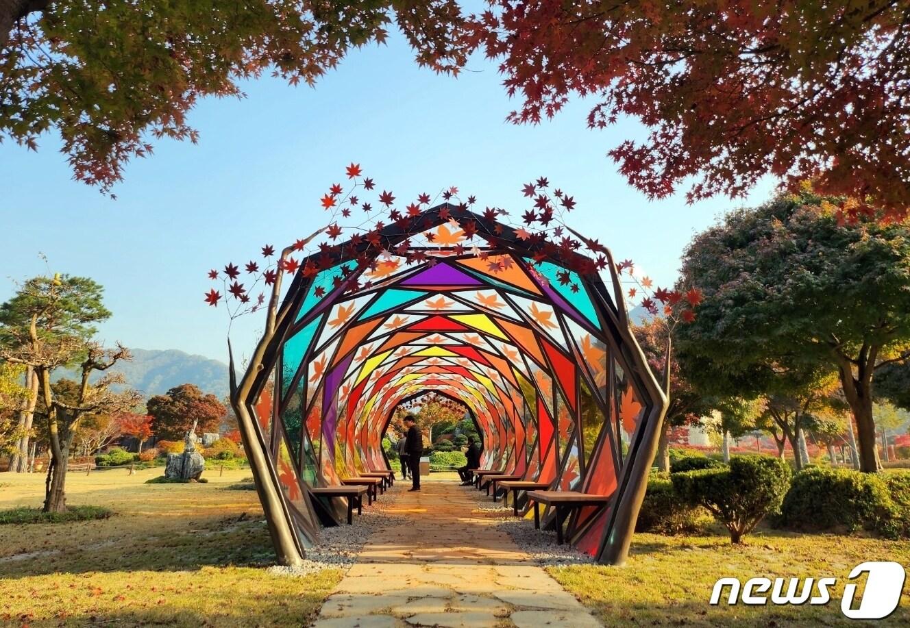 본문 이미지 -  전북 정읍시가 내장산 생태공원 내 사진찍기 좋은 명소(포토존)를 설치해 관광객들로부터 호응을 얻고 있다. 포토존 '단풍터널'(정읍시 제공)2022.11.1/뉴스1