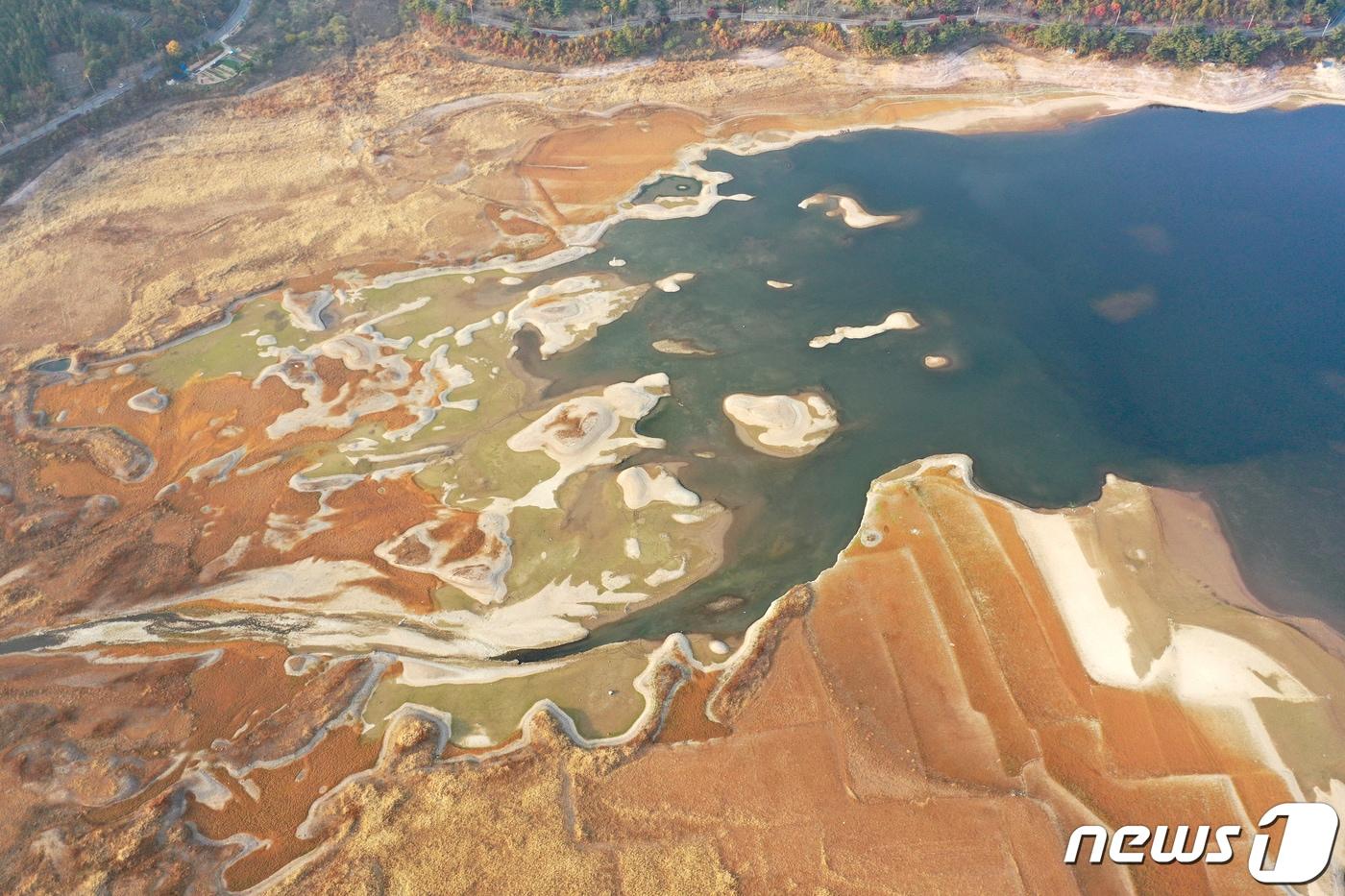본문 이미지 - 국내 대표 곡창인 나주평야 9000여㏊의 농경지에 농업용수를 공급하는 나주호가 말라가고 있다. /뉴스1 ⓒ News1·