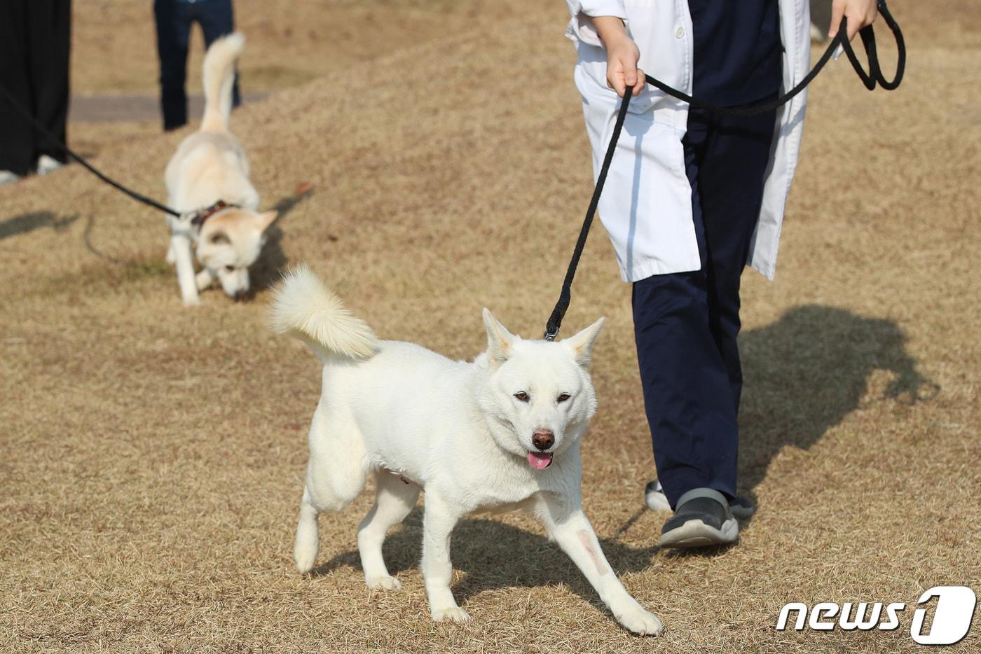 &#40;사진은 기사 내용과 무관함&#41; / 뉴스1 ⓒ News1