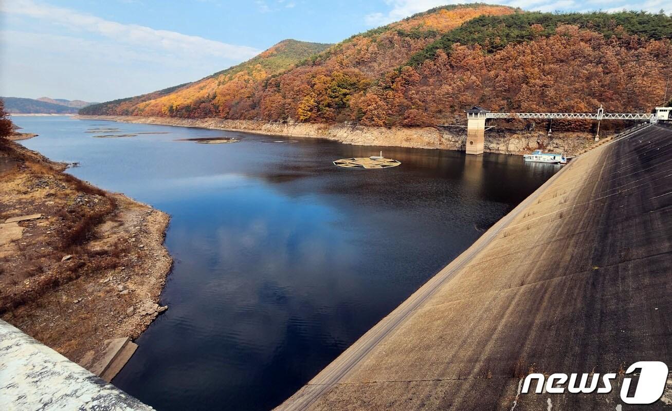 본문 이미지 - 가뭄이 지속되면서 145만 광주시민의 식수원인 동복호가 바닥을 드러내고 있다. 예년같으면 10월말 기준 85% 이상 물이 차 있어야 하지만 올해는 32%대로 떨어졌다. 이대로 가뭄이 계속되거나 비가 충분히 내리지 않으면 내년 3월이면 고갈된다.2022.11.13/뉴스1 ⓒ News1 박준배 기자
