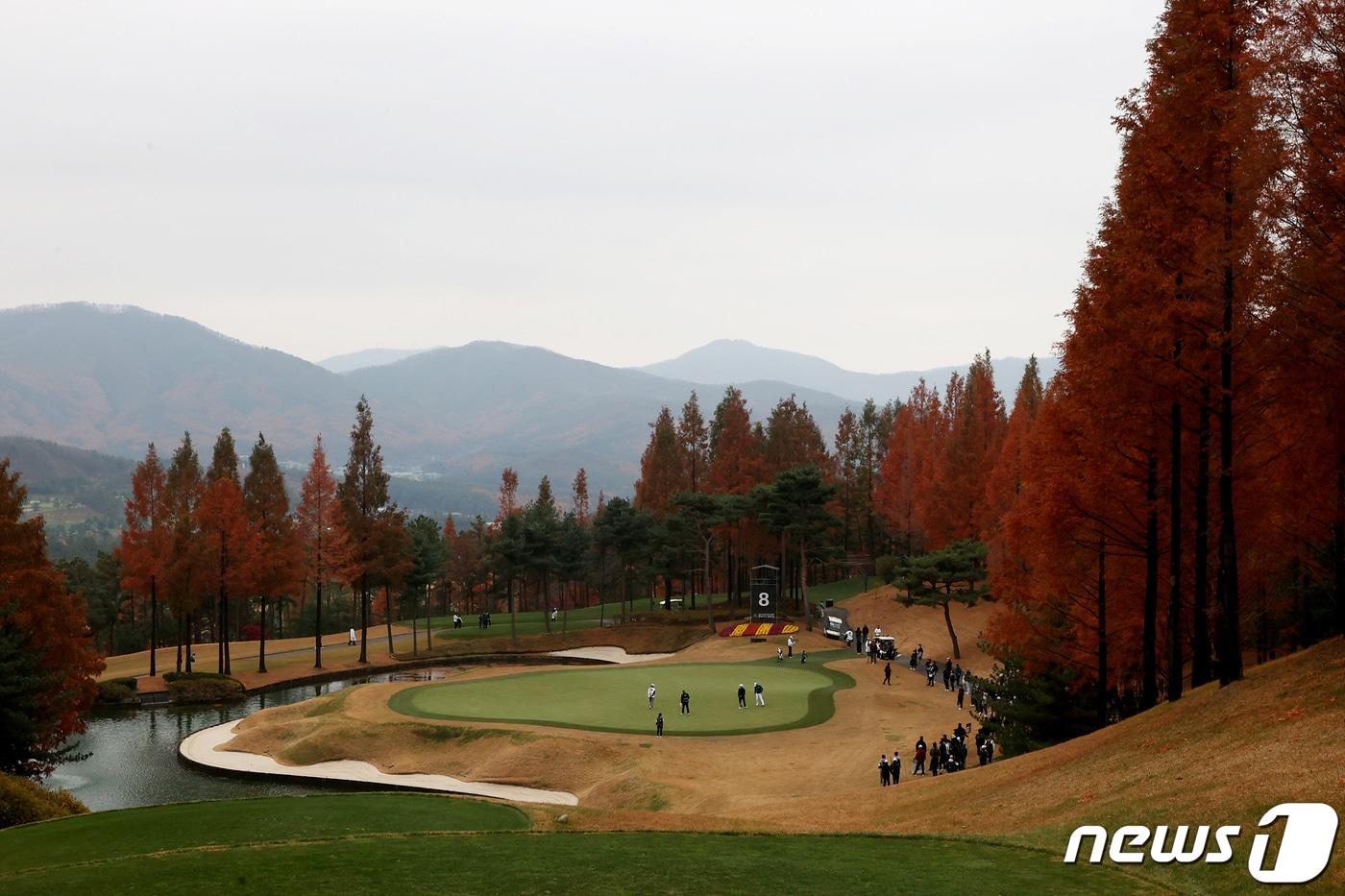 &#40;사진은 기사 내용과 무관함&#41; / 뉴스1