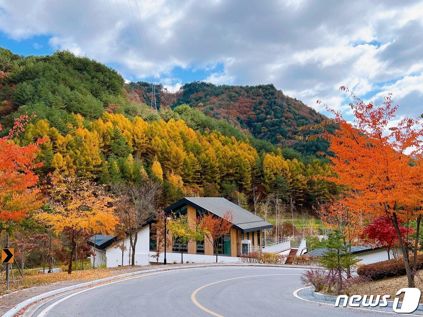 본문 이미지 - 하이힐링원 자료사진. (강원랜드 제공) 2022.11.17/뉴스1