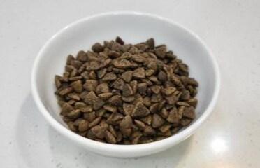 본문 이미지 - 함초, 개똥쑥 성분 등이 함유된 고양이 사료(엔딕 제공)