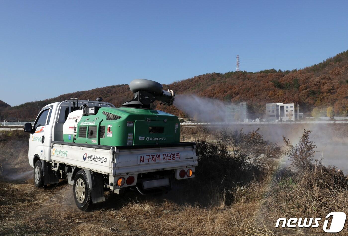 본문 이미지 - 18일 울산 울주군 언양읍 구수리 태화강변 일대에서 방역차가 조류인플루엔자(AI) 방역을 하고 있다. 울산시는 구수리 태화강변에서 수거한 야생조류 분변에서 고병원성 조류인플루엔자가 검출됨에 따라 태화강변과 가금 사육 농가에 대한 차단방역을 강화하기로 했다. 2022.11.18/뉴스1 ⓒ News1 윤일지 기자
