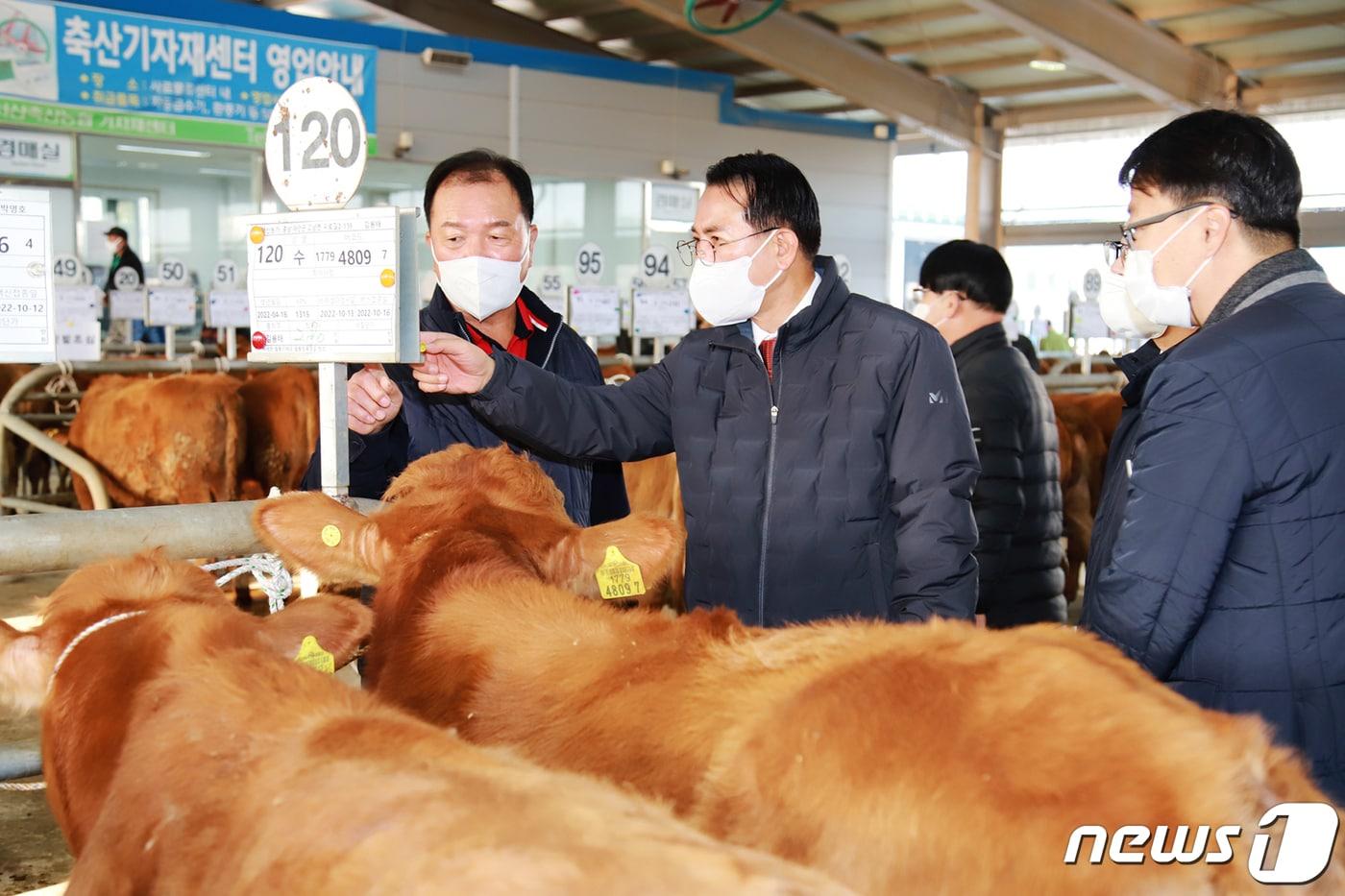 18일 이완섭 서산시장이 음암면 상홍리에 있는 가축 경매시장을 방문해 한우농가와 축산관계자를 격려하고 있다(서산시제공)