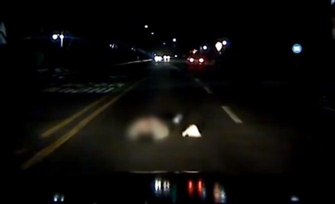 본문 이미지 - 오전 4시 도로 한복판에 누워있던 취객을 인식하지 못한 택시가 그대로 역과해 사망 사고가 발생했다. (한문철 TV)